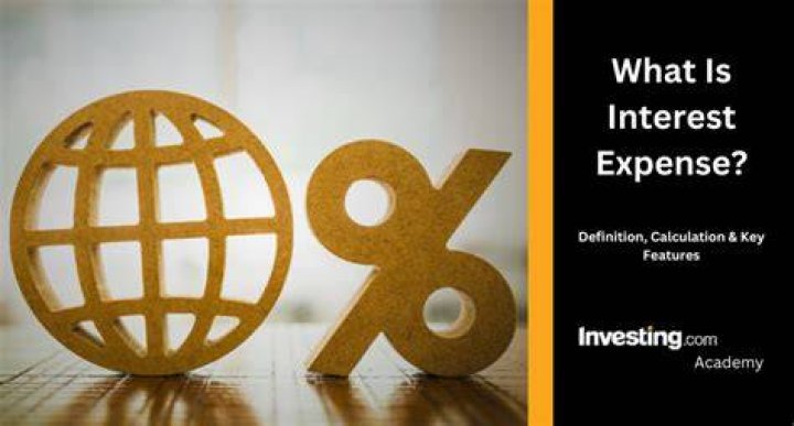 What can investment interest expense offset?