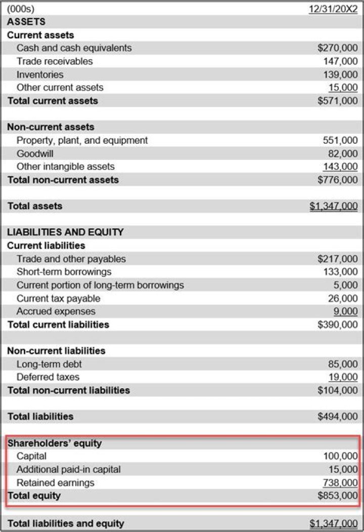 What causes an increase in shareholders equity?