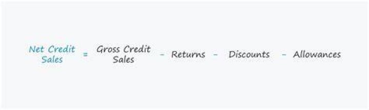 What comes under net credit sales?
