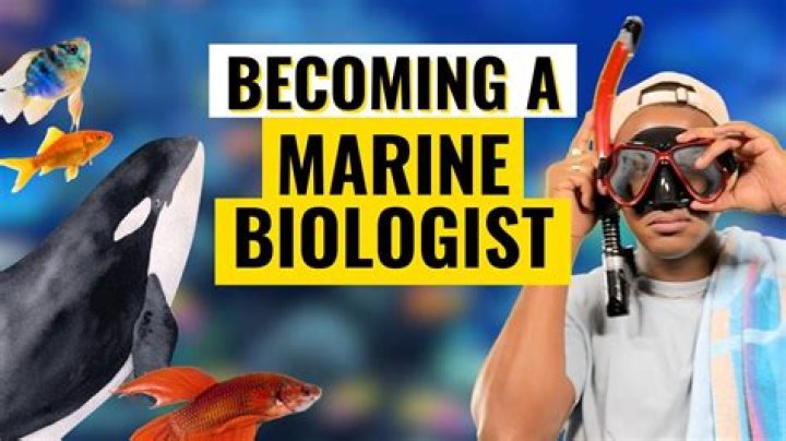 What courses do you have to take for marine biology?