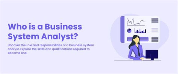 What do business systems analysts do?