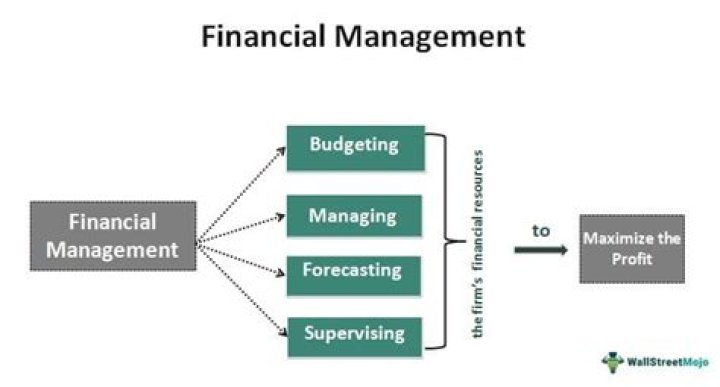 What do financial managers balance?