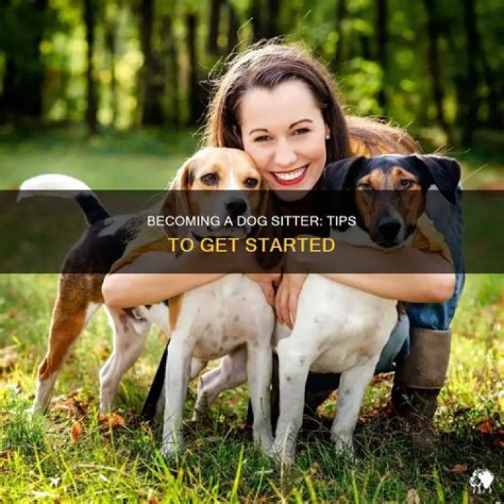 What do I need to become a pet sitter?