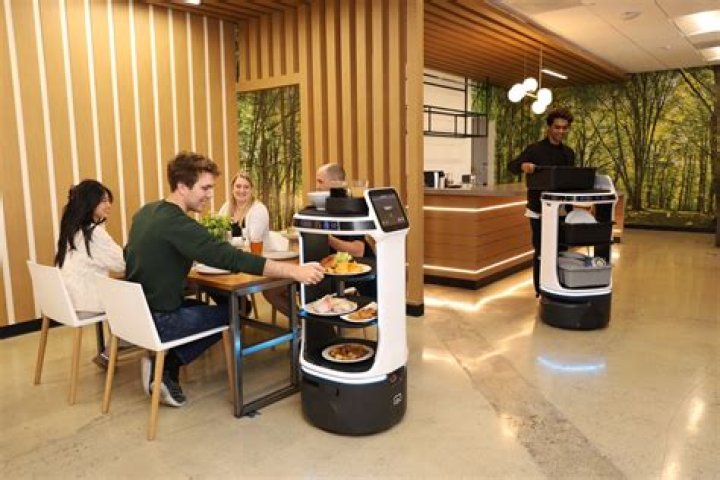 What do robots do in hotels?