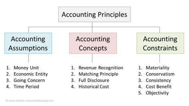 What do you mean by accounting principles?
