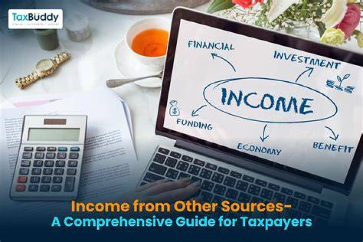 What do you mean by income from other sources?