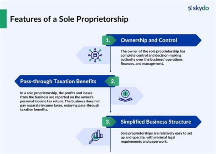 What do you mean by sole proprietorship?