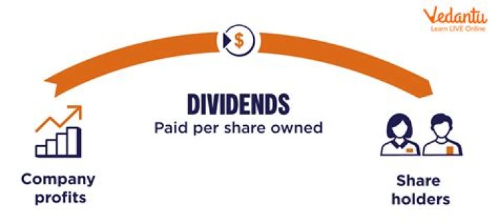 What does a 10% dividend mean?