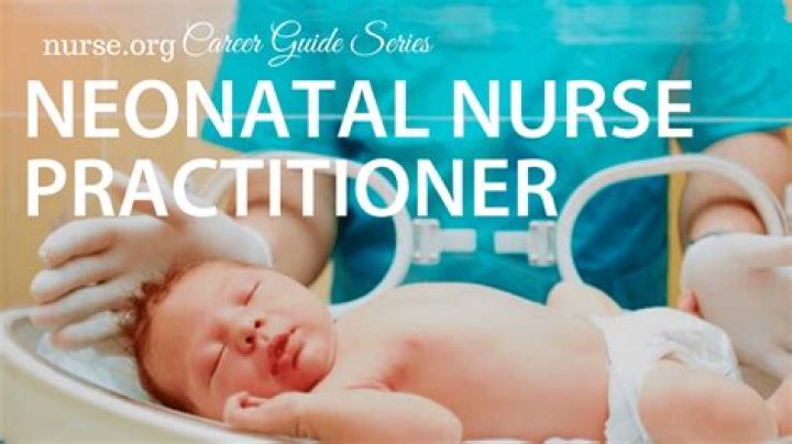 What does a Level 3 neonatal nurse do?