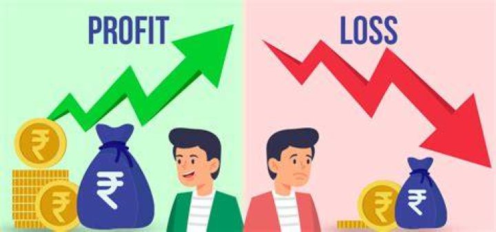 What does a negative profit mean?