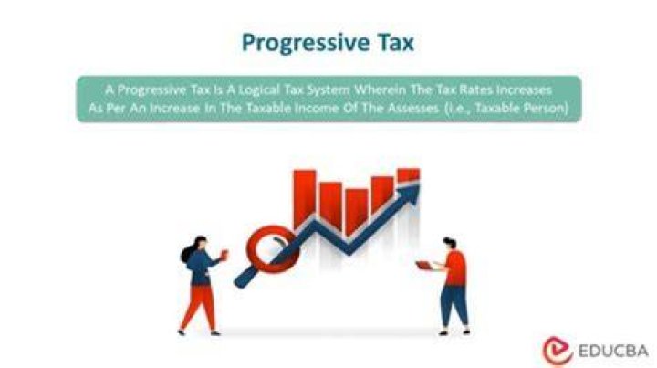 What does a progressive income tax do?