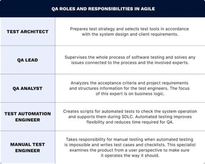 What does a quality assurance team leader do?