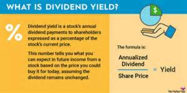 What does dividend issued mean?