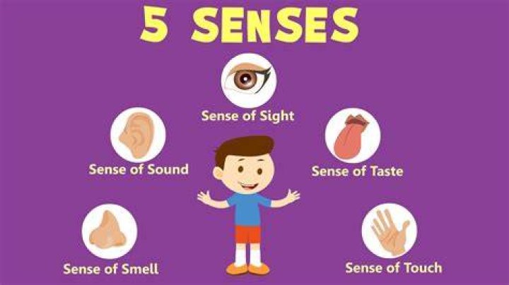 What does in a sense of mean?