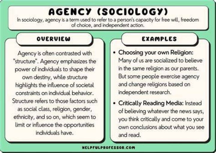 What does it mean to have agency experience?