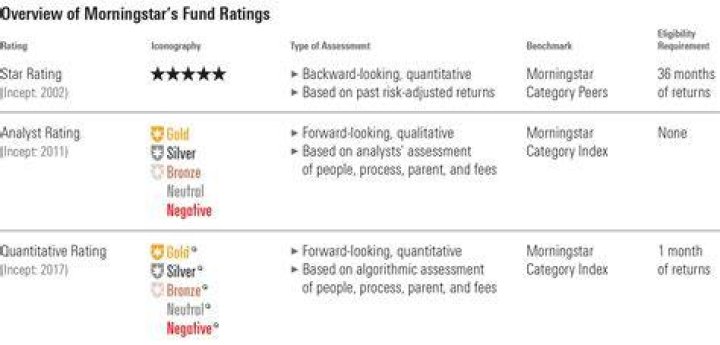 What does Morningstar category mean?
