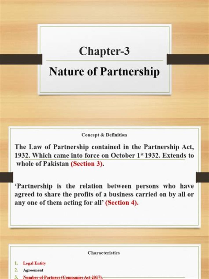 What does nature of partnership mean?