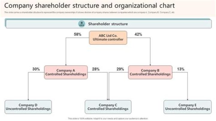 What does share holder means?