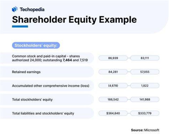 What Does shareholder equity indicate?