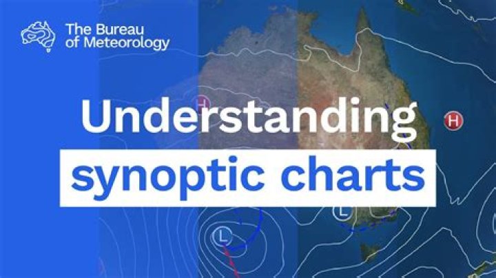 What does synoptic paper mean?