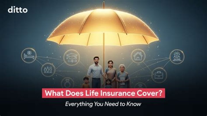 What does VSI insurance cover?