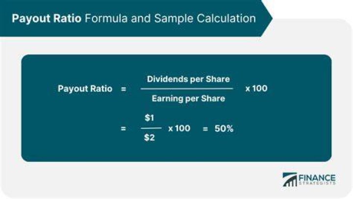What factors affect payout ratio?