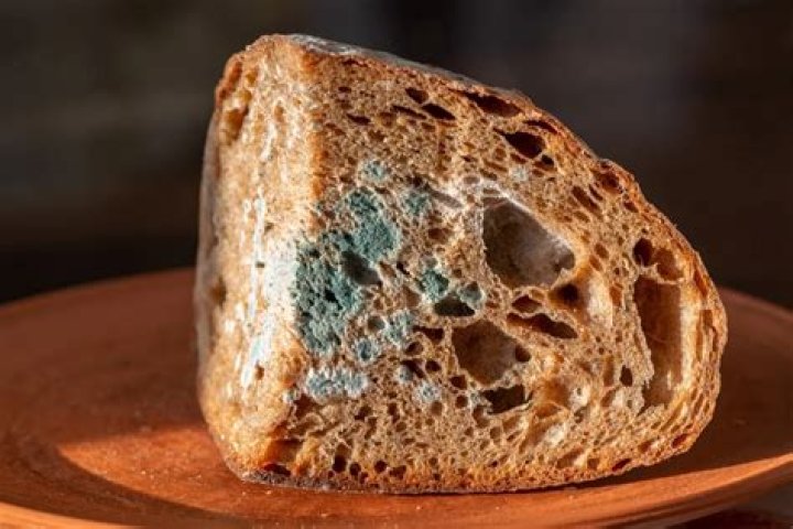 What happens if you eat old spoiled food?
