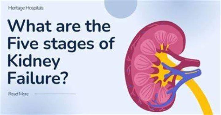 What happens in the final stages of kidney failure?