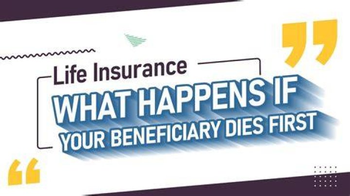 What happens to federal life insurance when you retire?