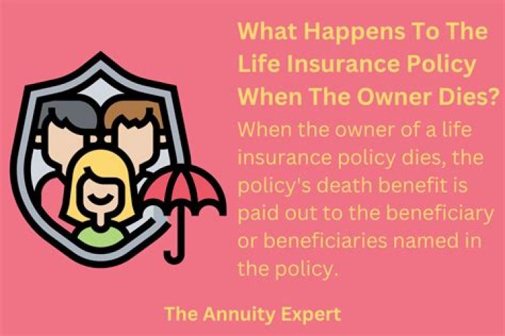 What happens to life insurance if owner dies?