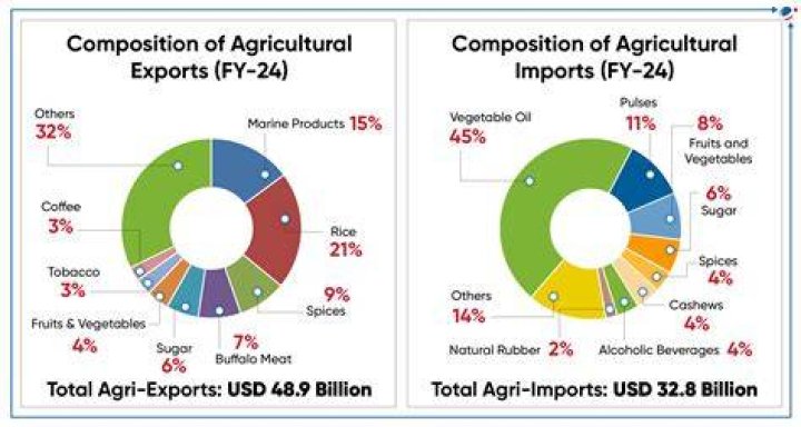 What happens when imports are greater than exports?