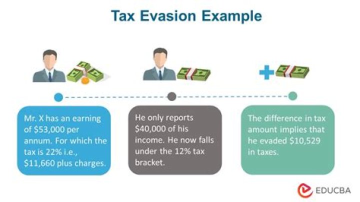 What happens when someone is reported for tax fraud?