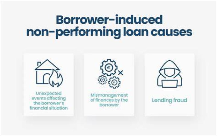 What happens when you buy a non-performing loan?