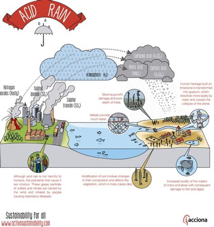 What industries causes acid rain?