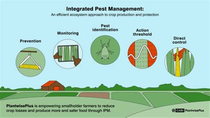 What insurance do you need for pest control?