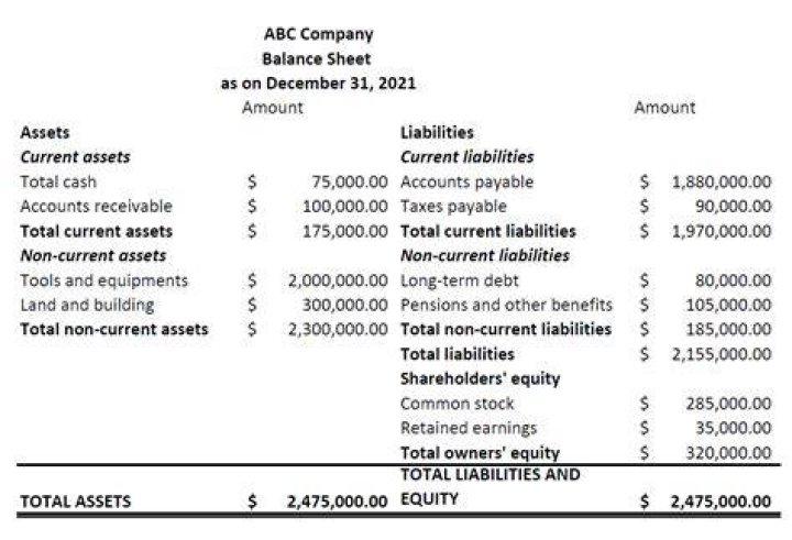 What is a company prepared balance sheet?
