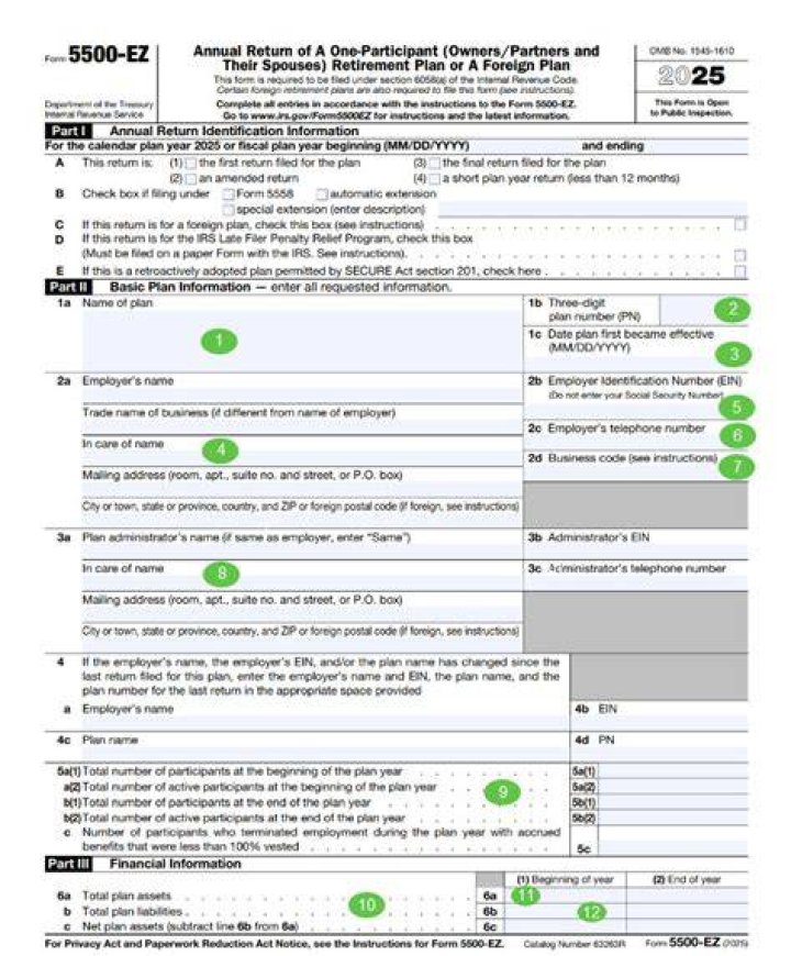 What Is a IRS Form 5500?