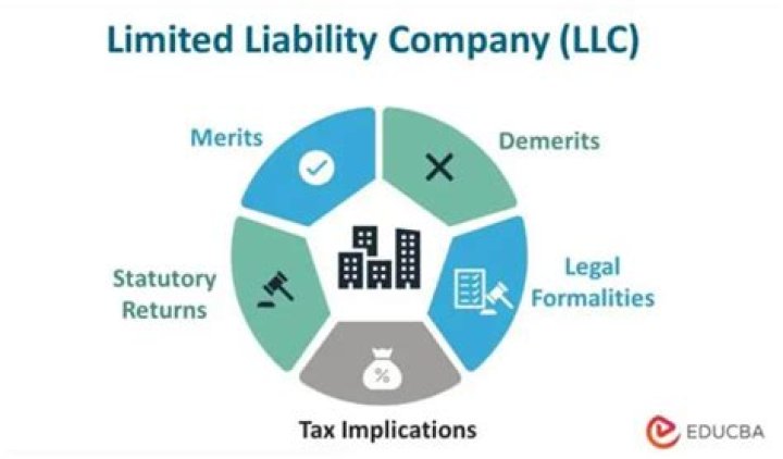 What is a limited member in an LLC?