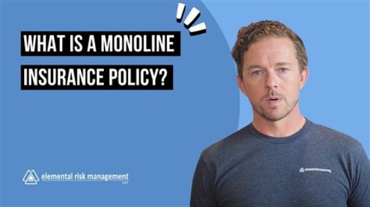 What is a monoline liability policy?