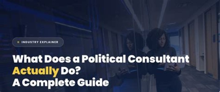 What is a political consultant called?