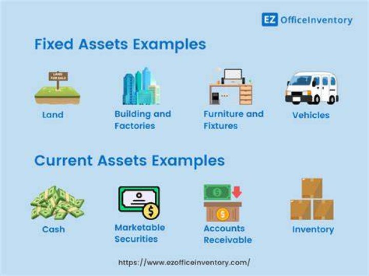 What is a primary asset example?