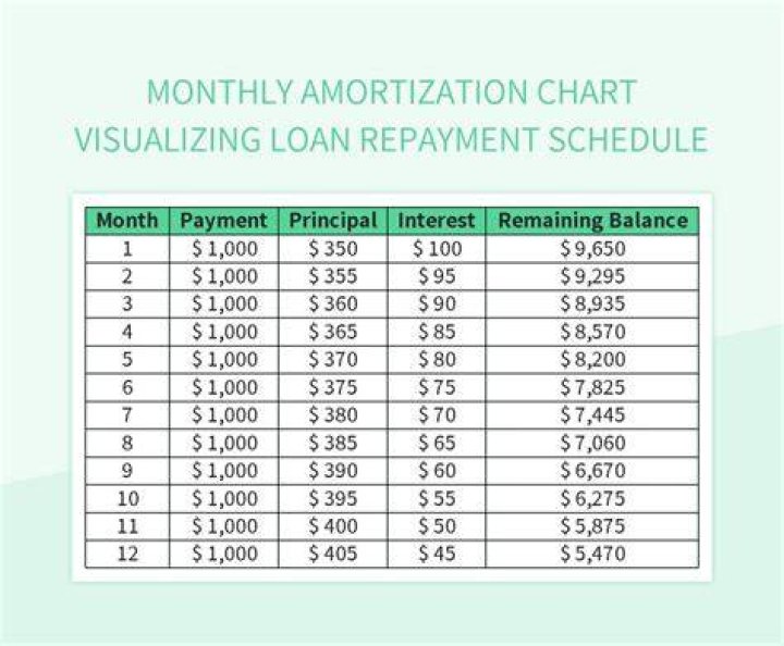 What is a revolver loan?