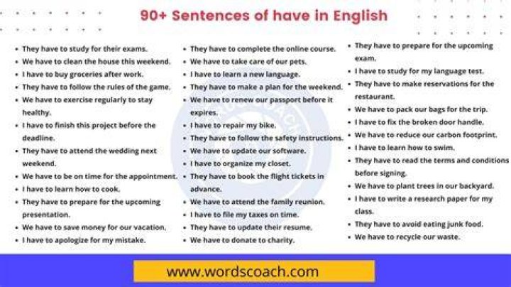 What is a sentence with have example?