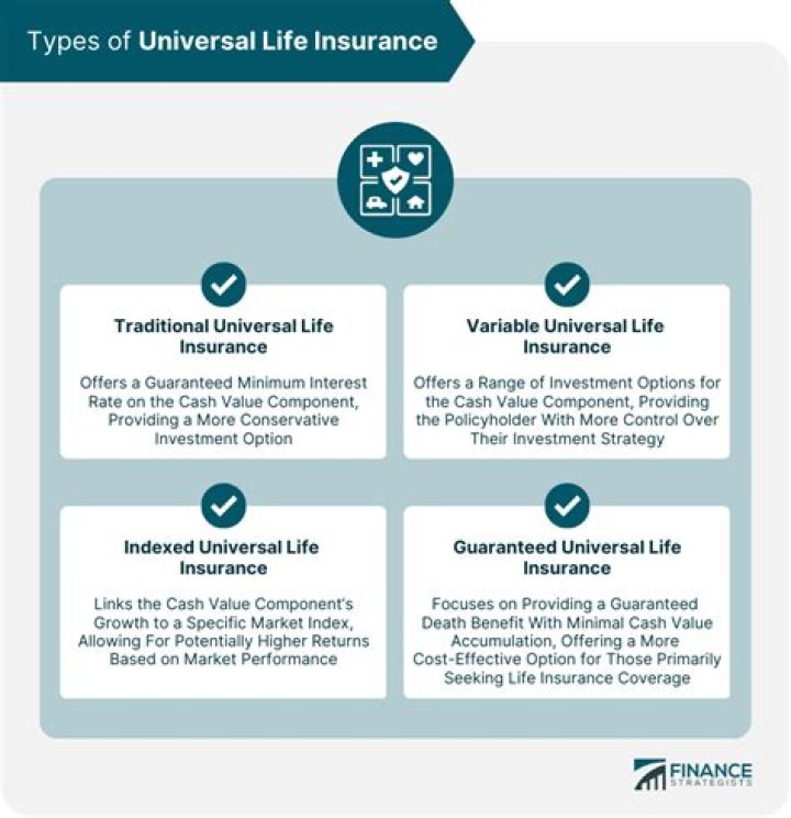 What is a universal life insurance policy best described as?