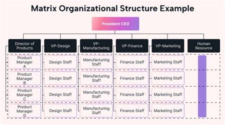 What is an example of a matrix organization?