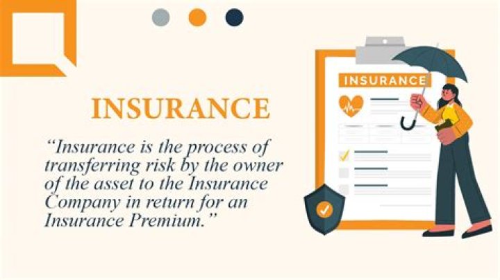 What is an insurance company classified as?