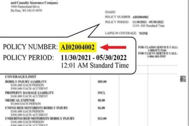 What is an insurance issue date?