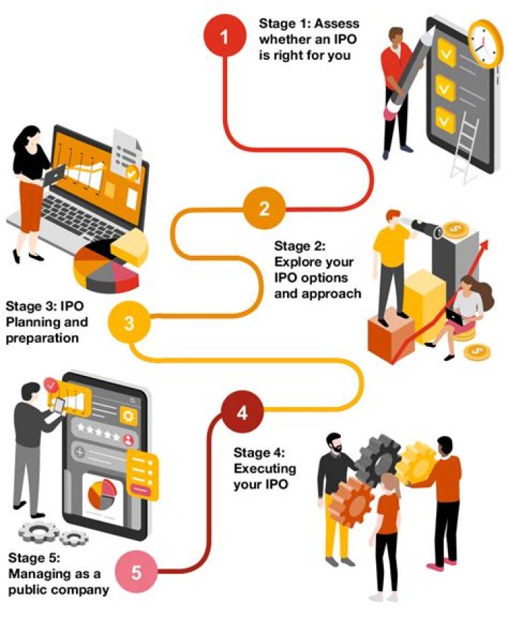 What is an IPO audit?