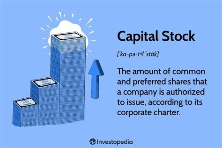 What is considered capital stock?