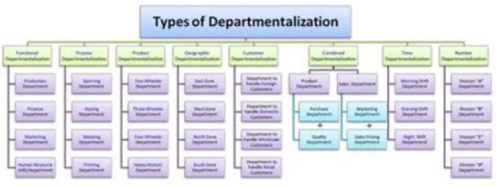 What is Departmentation and types of Departmentation?